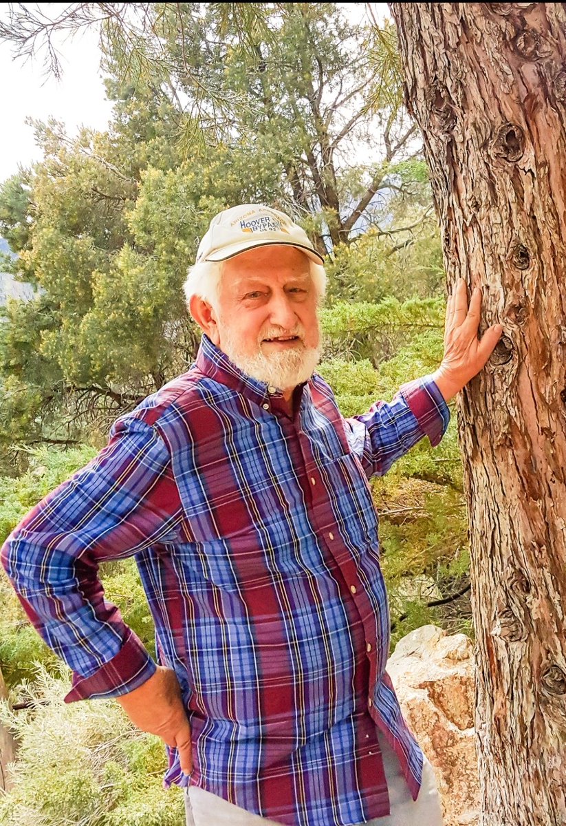 Tammy in Vegas tweet media