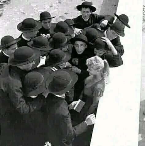 جيفة واحدة.... تكفي لجمع كل الكلاب !!..
نفس السعودية ومرتزقتها