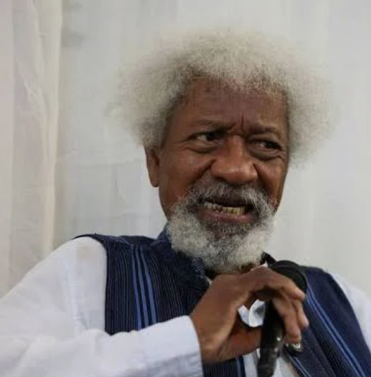 Where is Wole Soyinka?
when are we going out for protest against fuel price.