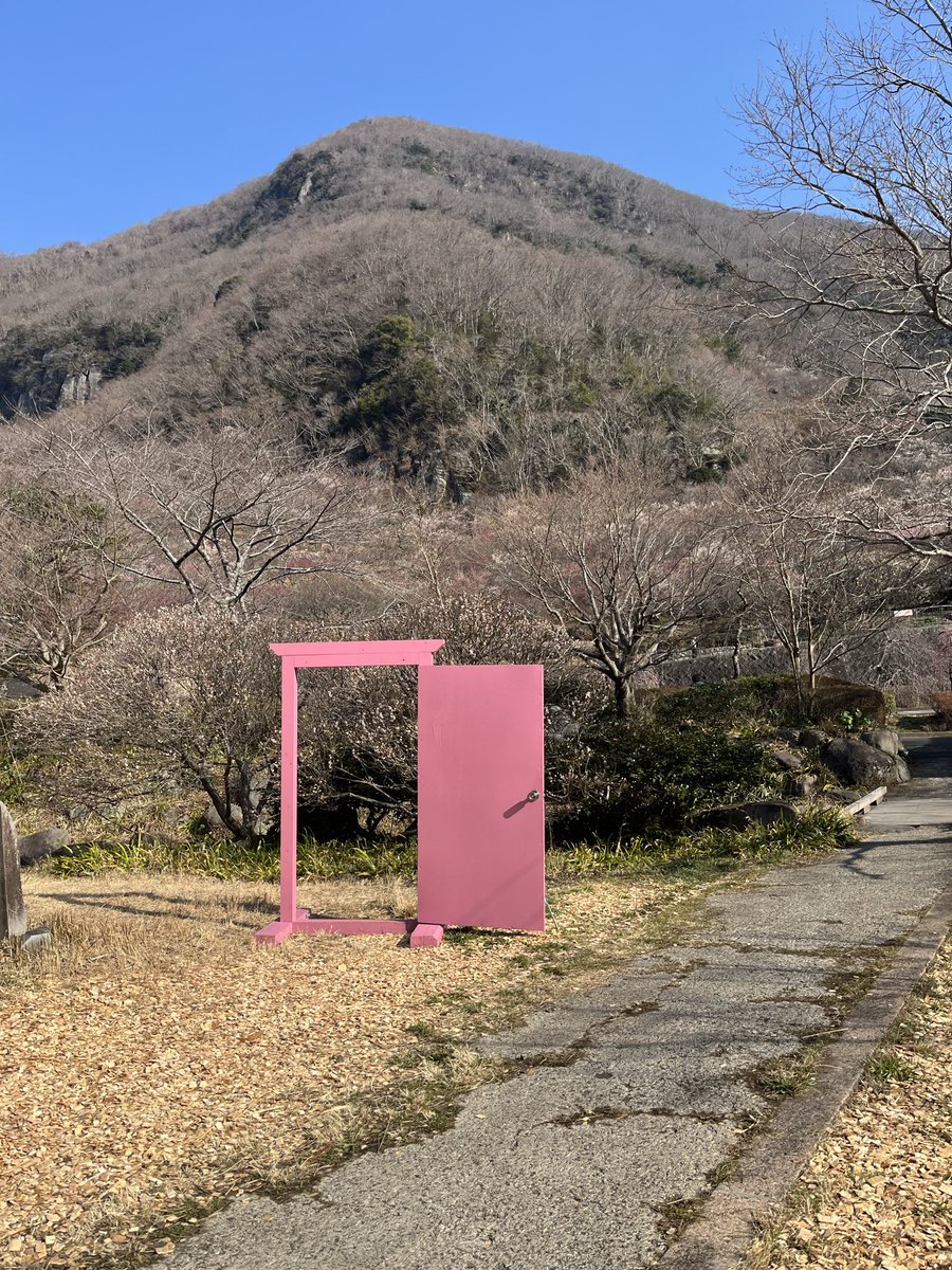 うららん tweet media