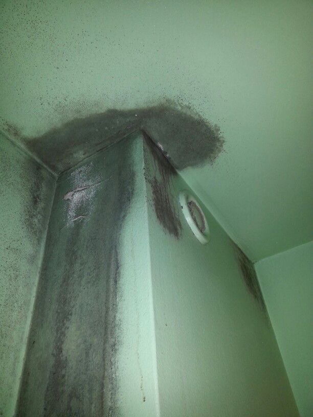 WorldPlaymaker's tweet image. A musty smell is your home asking for help.
It means mold is active and releasing harmful gases into your air.

Ignoring it allows mold to spread deeper—where damage becomes harder to control.

MoveFast can locate hidden mold and remove it before it threatens your family’s health