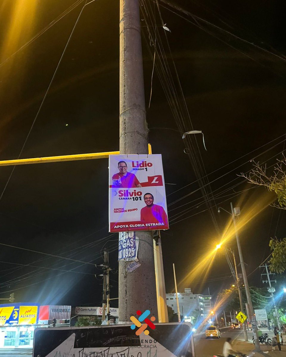 Tejiendo Democracia tweet media