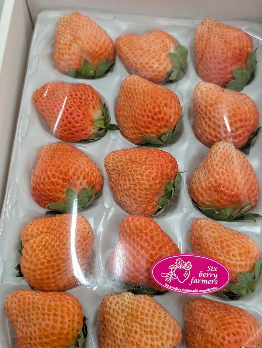 この桃色のイチゴの名前わかる人〜😁