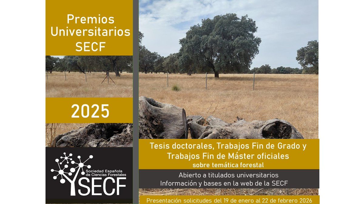 SECForestales tweet media