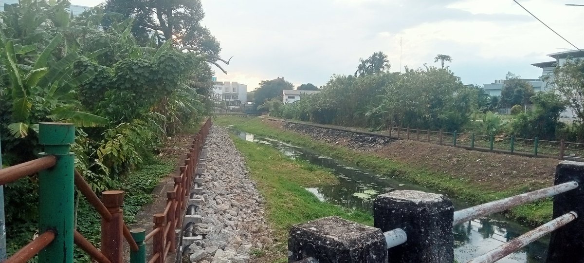 ชายแท้นะ ทำแต่งาน นัดต้อนวางเท่านัน tweet media