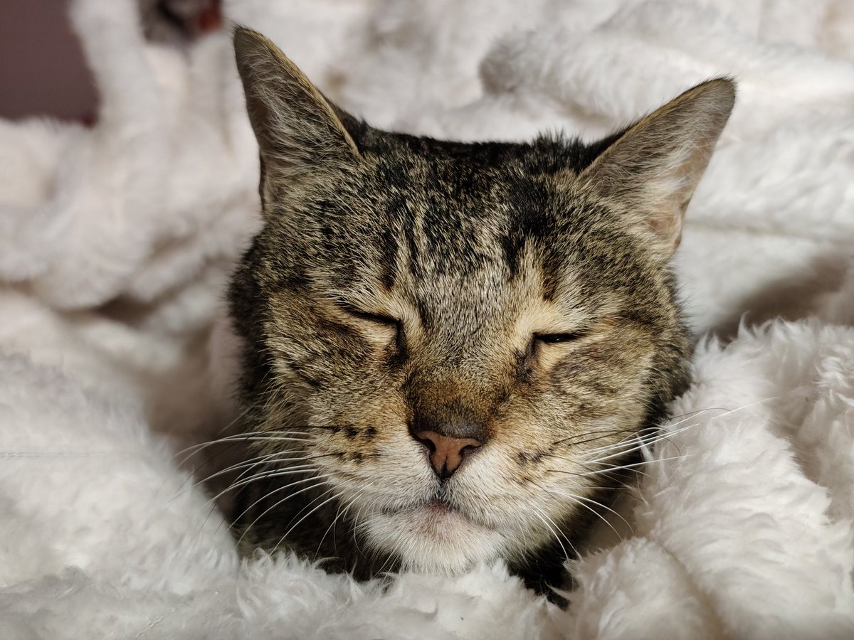 She's an angel I'm gonna cry