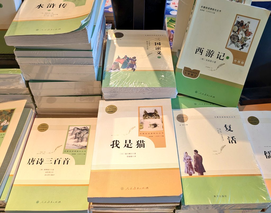 中国の本屋だと文字系の本でもふつうにシュリンクパックされているのか