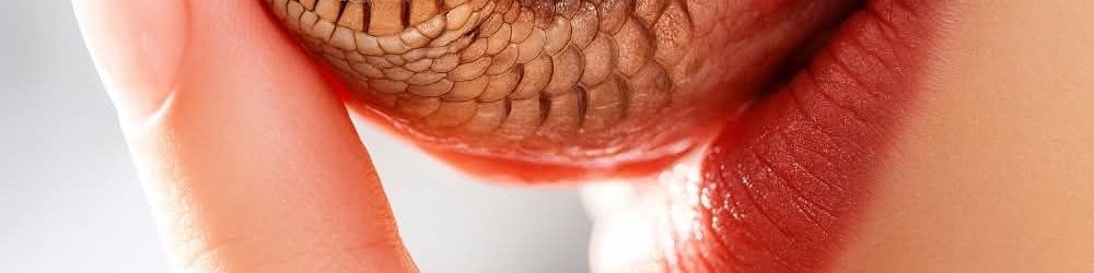 2i2i_l's tweet image. Trust no one