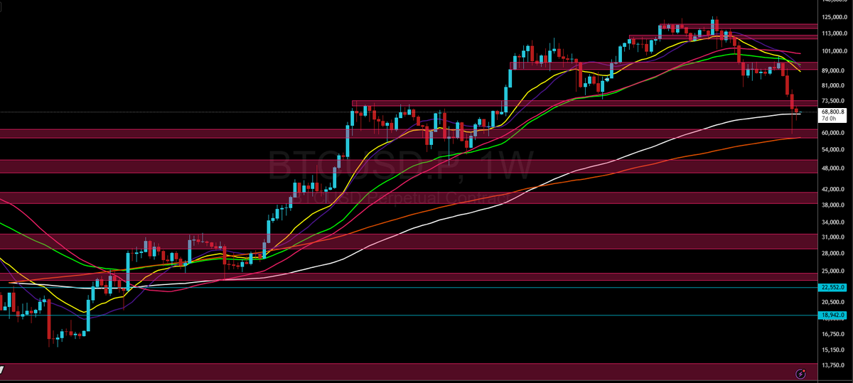 ₿TC Ninja ⚡ tweet media