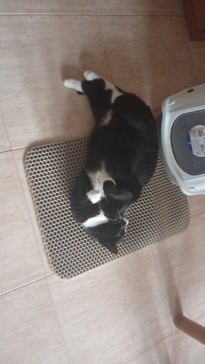 Joined <a href="/m4sked_devils/">M4sked Devils eSports</a>