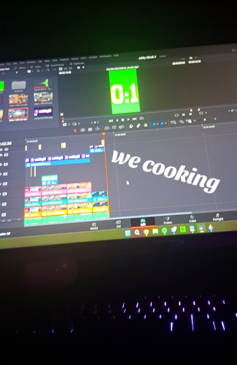twitch.tv/hammy_07 tweet media
