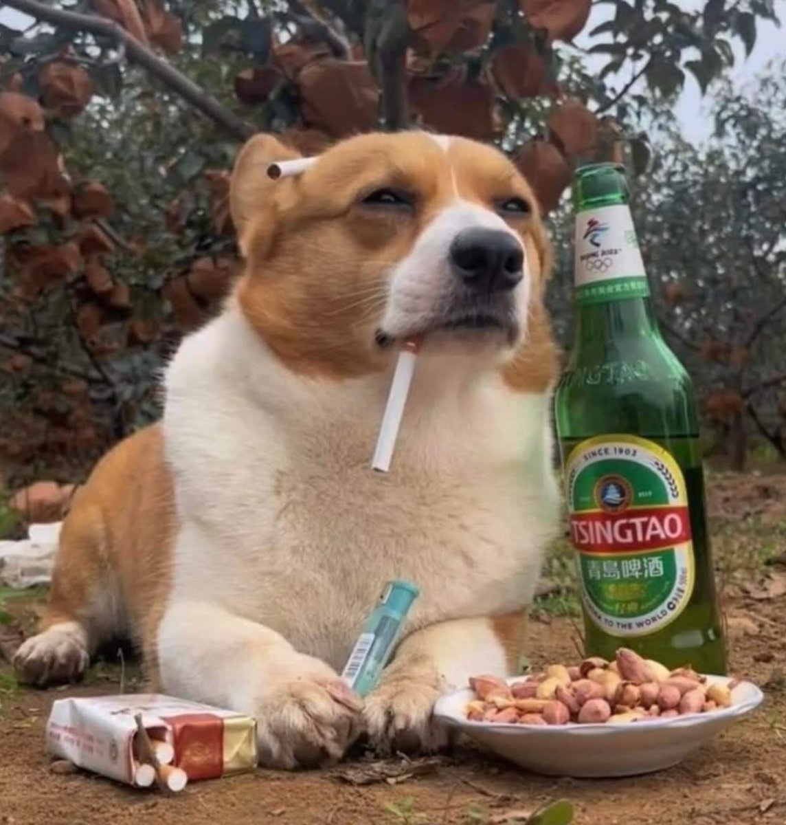 leftforfed65's tweet image. Gn lads