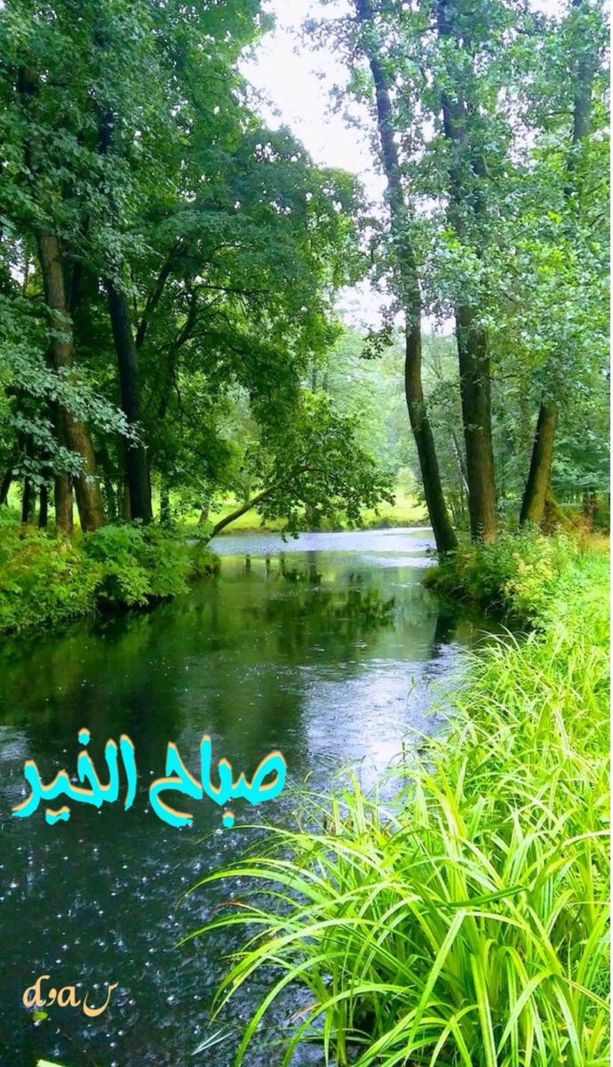 سعود بن محمد الغرابي (@saudindustry) on Twitter photo 