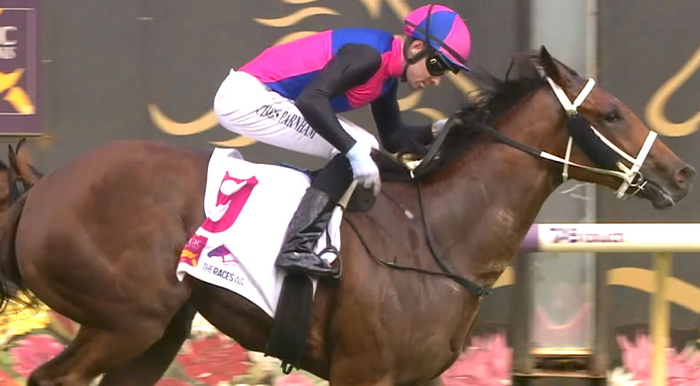 "Not only did Maria Lucia have the expertise of the Casey’s on her side, she had that of top hoop Chris Parnham, who has virtually made this race his own, with the combination on song to deliver a painless watch for favourite backers..."                    

Jesse Dart's "The