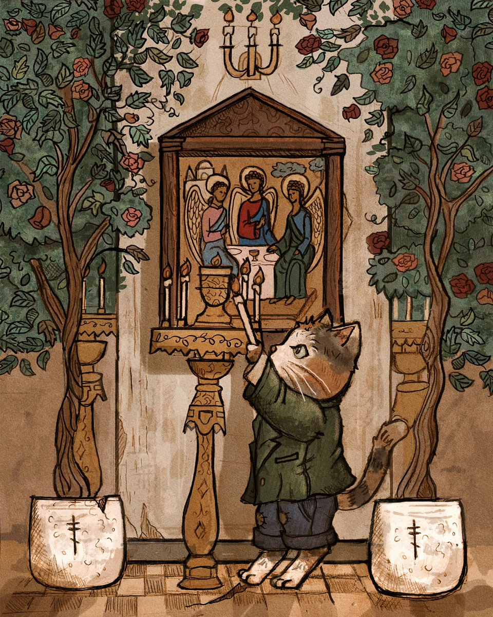 building my cat portfolio