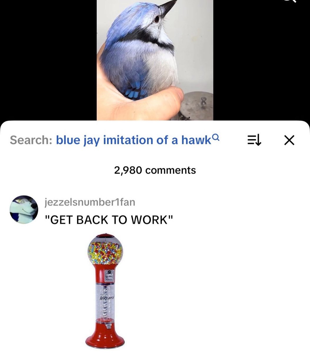 Images AI Could Never Recreate (@imagesaicouldnt) on Twitter photo 