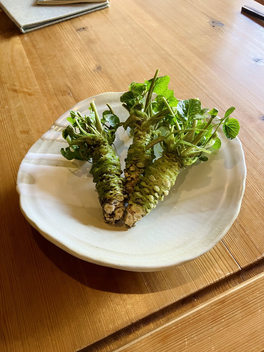 今日もいい天気ですね。

本山葵、入荷しました🙌