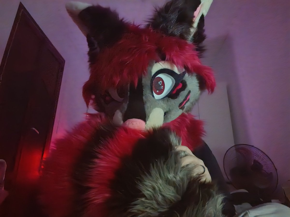 🍁{Radian}🍁 tweet media