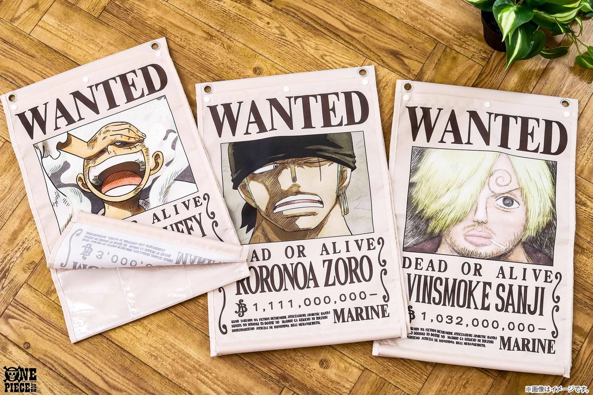 ONE PIECE.com(ワンピース) on X: 