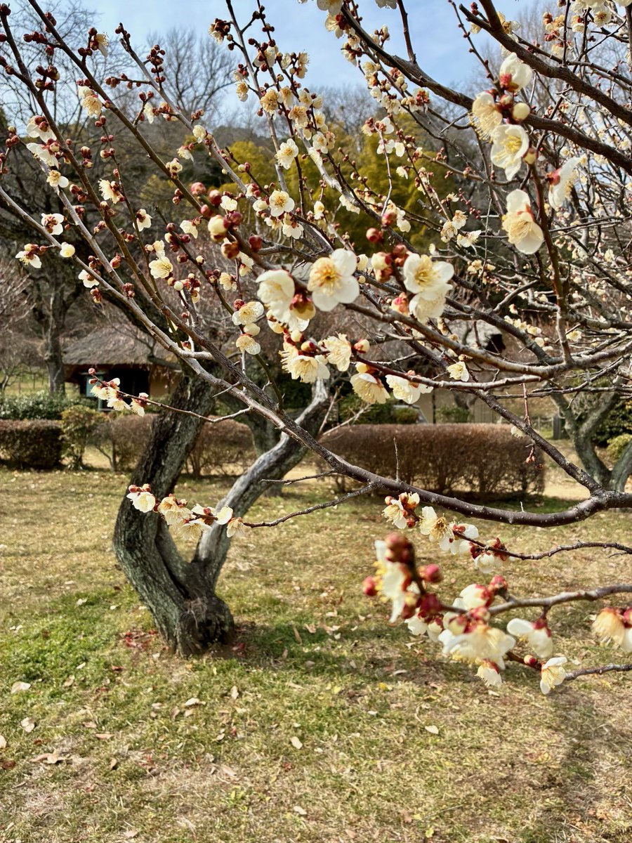 町田市観光コンベンション協会 tweet media