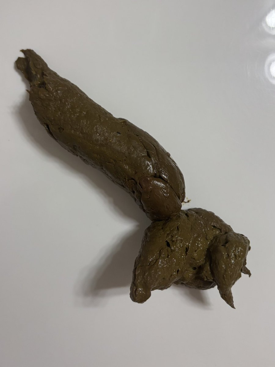 filth102's tweet photo. Been a while #scat https://t.co/pX0MGnZrqe