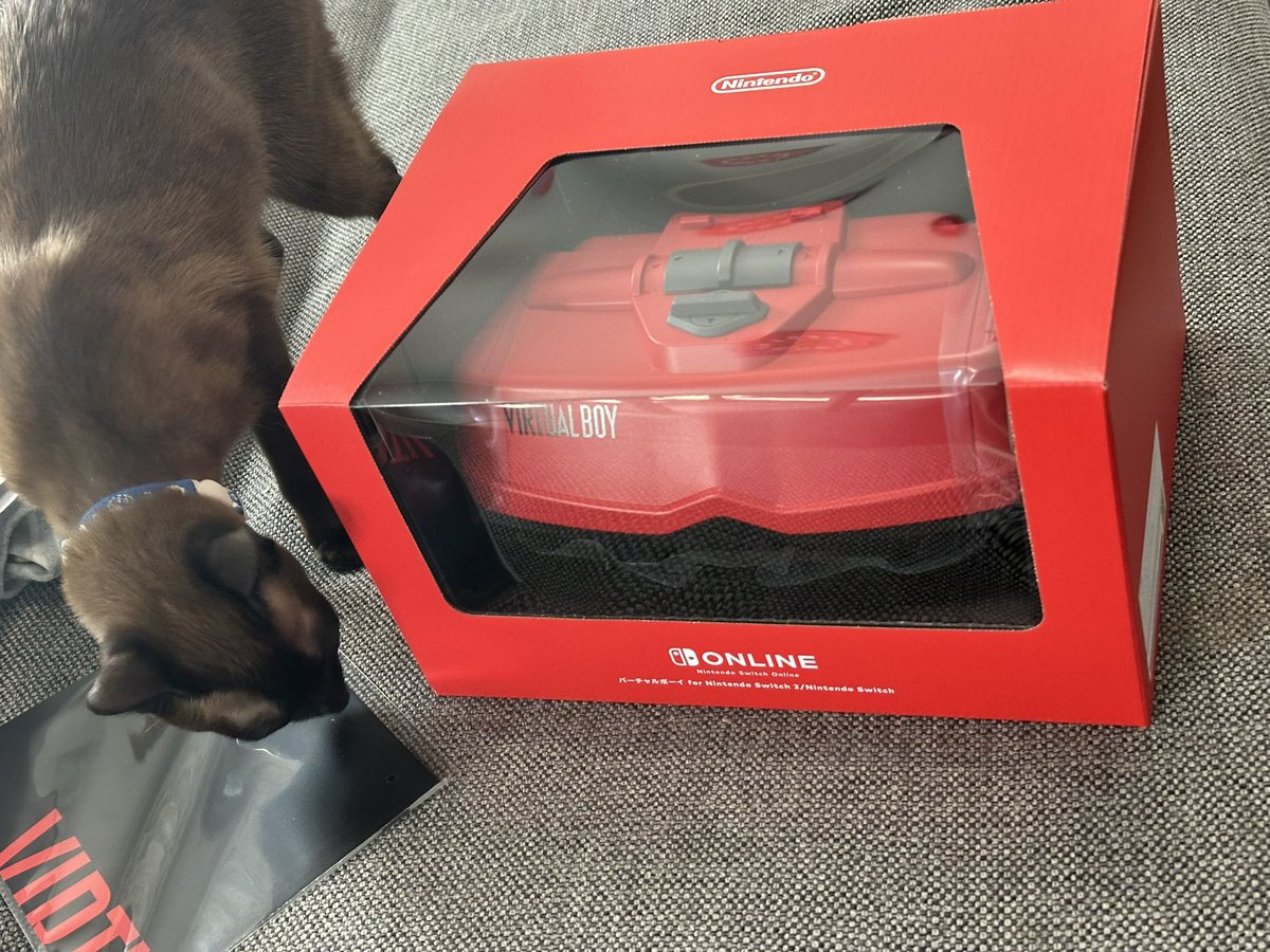 誕プレで買ってもらったやつがきた！