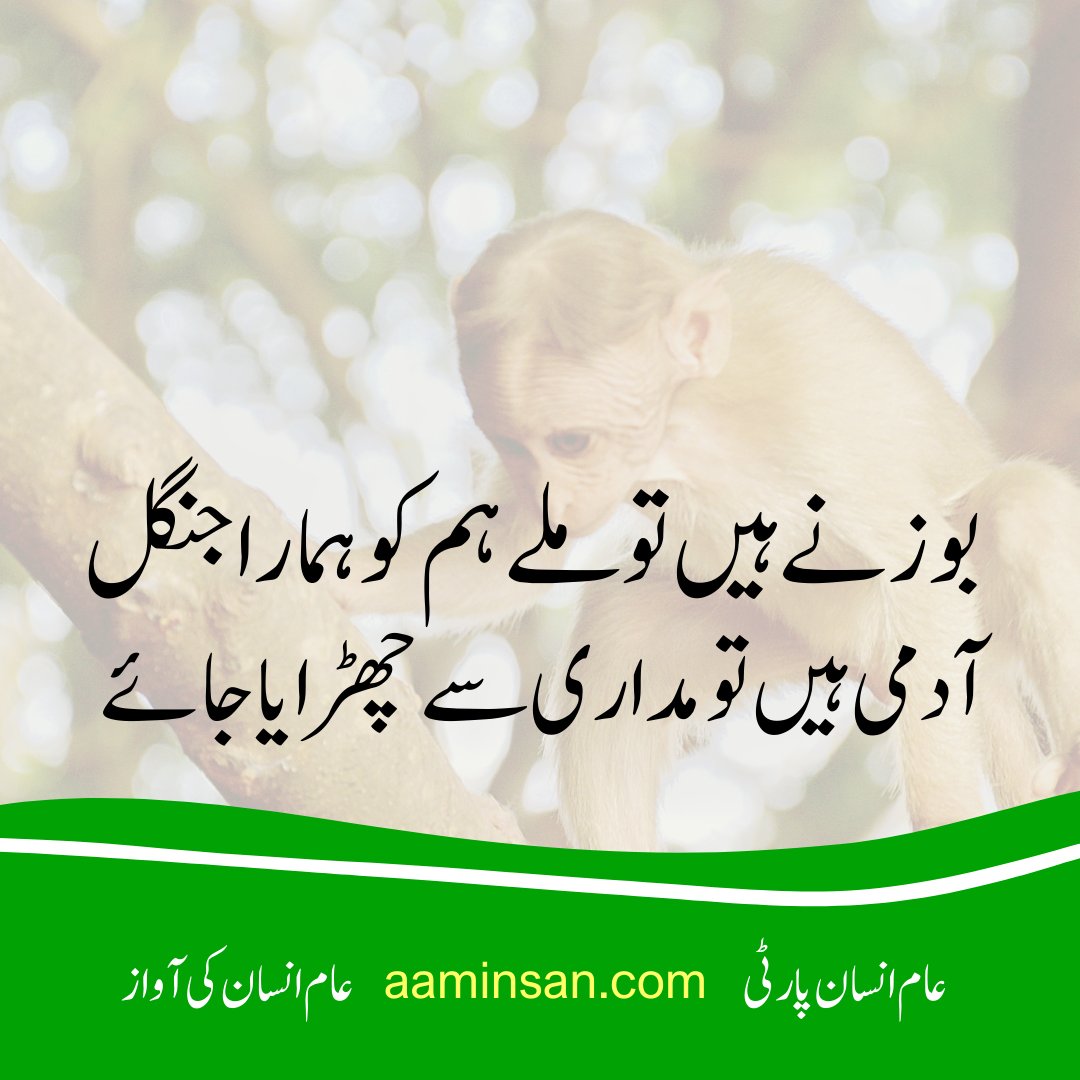 aaminsanparty's tweet photo. راجہ پاکستانی 
عام انسان پارٹی 🛜 عام انسان کی اواز 
https://t.co/6fBZQAouJO 
+923218481929 
#digitalelections 
#digitalcurrency 
#DigitalPakistan 
#AamInsanParty 
#AamInsan 
#aamtvlive 
#rajapakistani 
#VoiceOfACommonMan 
#اپنے_جیسوں_کا_انتخاب_کریں https://t.co/oCKcbz7CbY