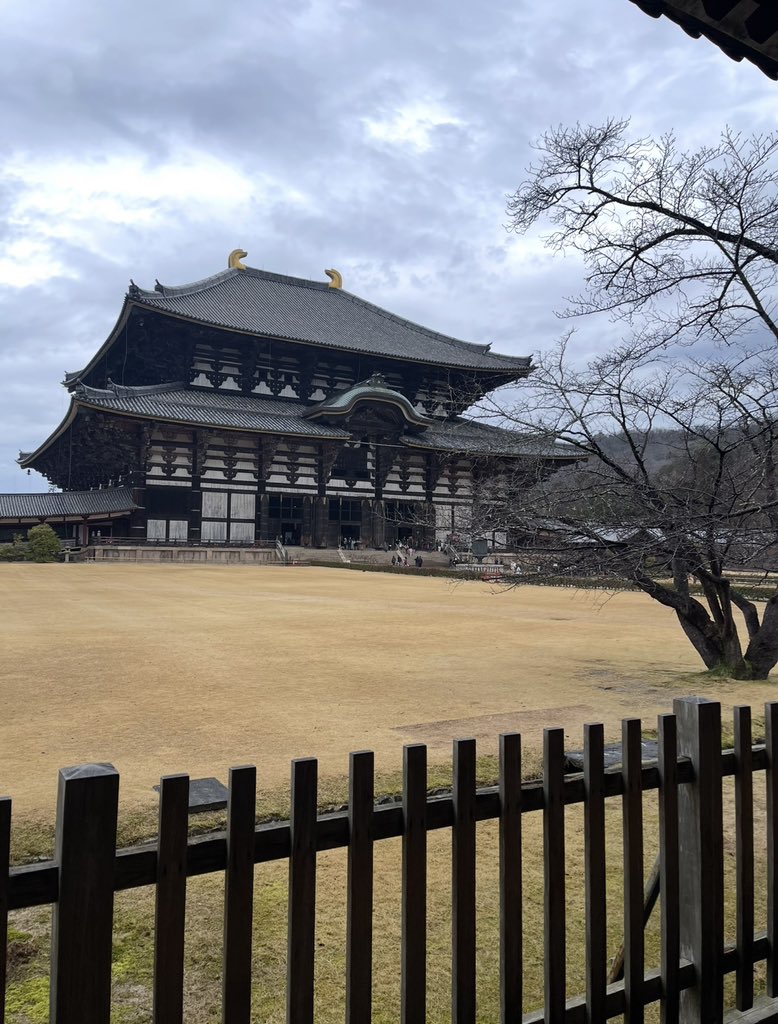 Norin (@wakungwa) on Twitter photo 