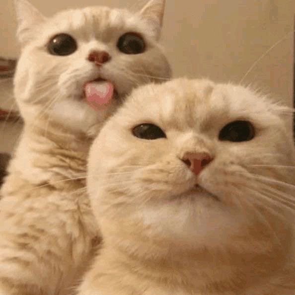 ladyymuffins's tweet image. ชั่ย