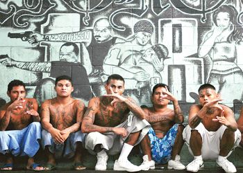 ZMartinSerrano's tweet photo. @GovMLG These poor juveniles arrested but then released on cash bond 24hrs later because a little compassion and therapy will fix them rt up
How many citizens killed per yr in NM by career criminals governor? https://t.co/DoEak1cJQj