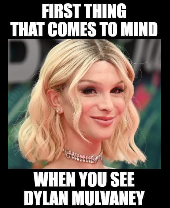Sadie tweet media