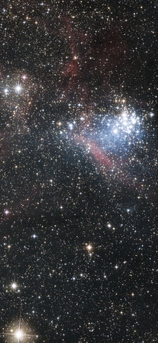 Lisa Bromfield tweet media