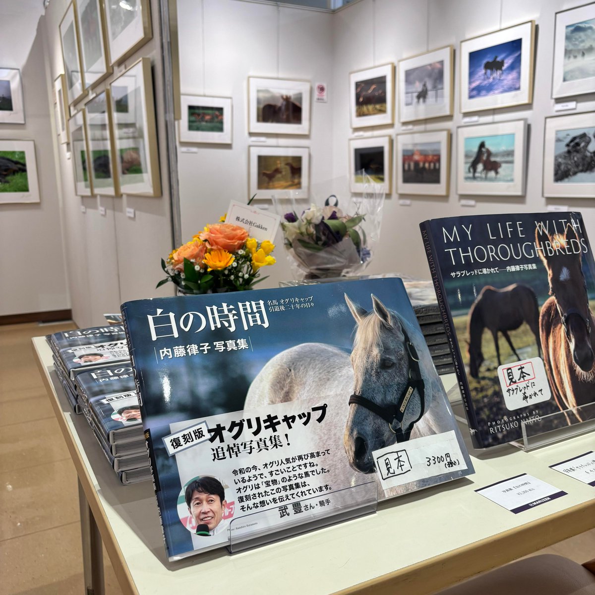 白の時間 内藤律子写真集 白の時間 復刻版 | 内藤律子 |本 | 通販 | Amazon