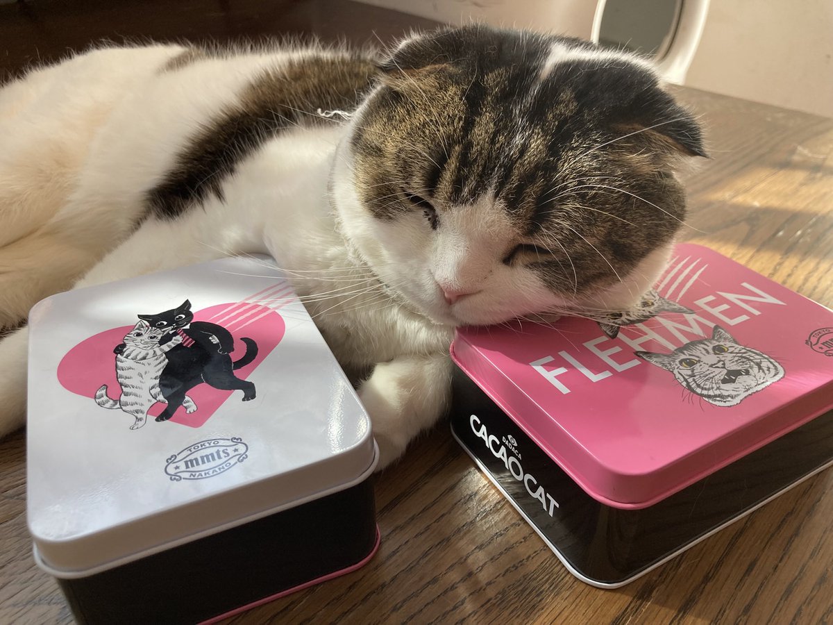 mmts (@mmts_Nakano) / Posts / X