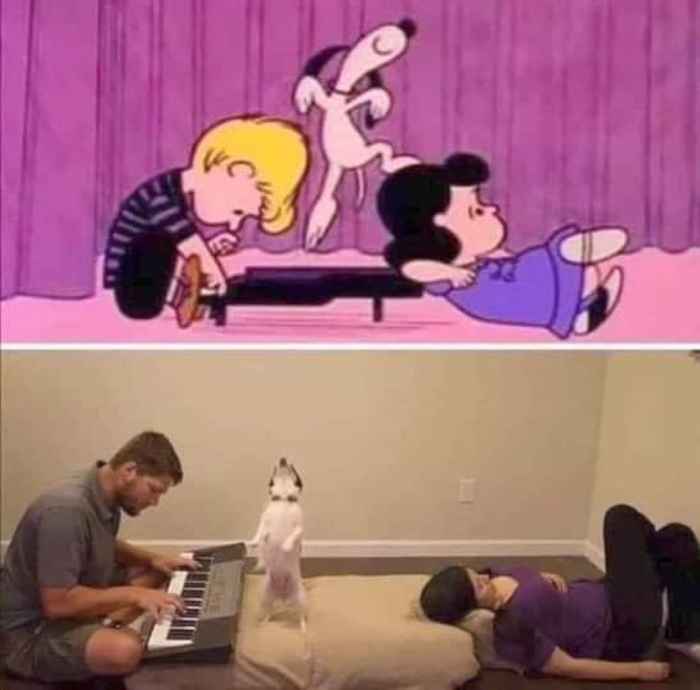 💖 (@twaniimals) on Twitter photo 