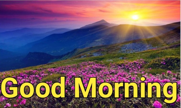 Good morning My Friends! 

Lets Active User connect with 700+ Verified Premium Plus Followers!

Reply fast👇

हर सुबह नई रोशनी नया ख्वाब लाती है 
सपनो को पूरा करने की नई राह दिखाती है 
शुभ प्रभात वंदन 
Good morning