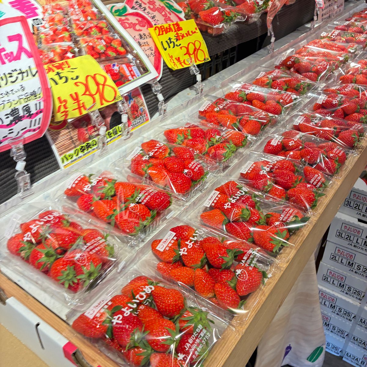 おはようございます☀️ 2/16月もよろしくお願いします！ 今日の特売