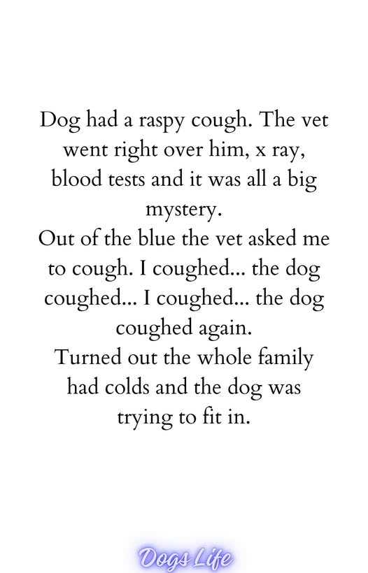 woofknight's tweet image. 