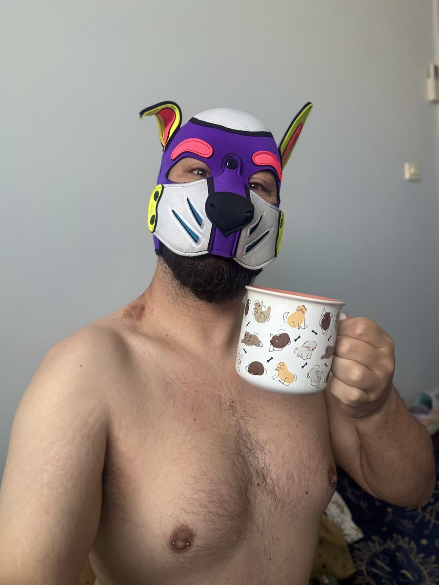 Morning pawffee time ☕️