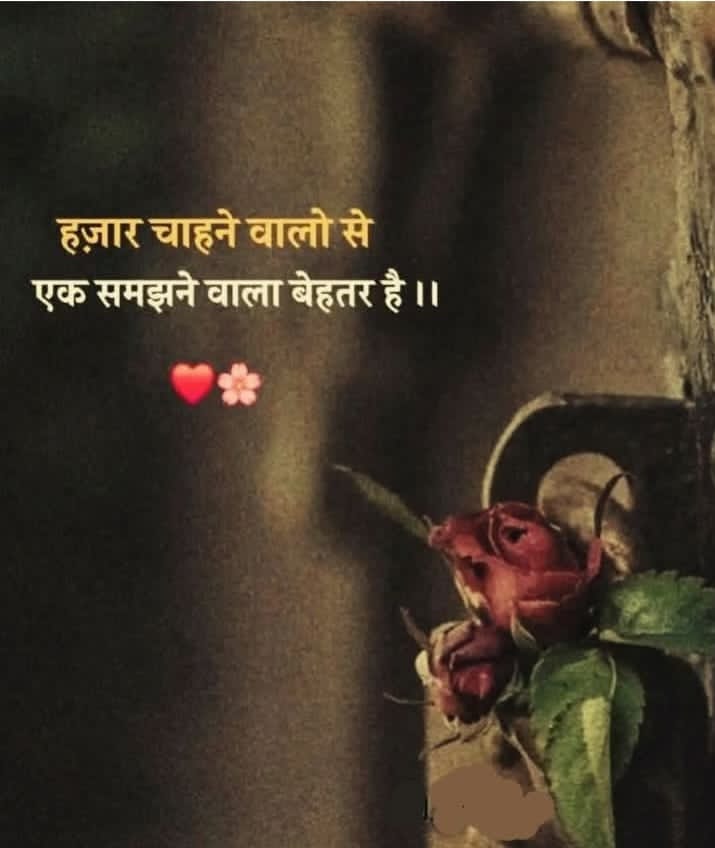 हज़ार चाहने वालो से
 एक समझने वाला बेहतर है....
All of you
                Good morning