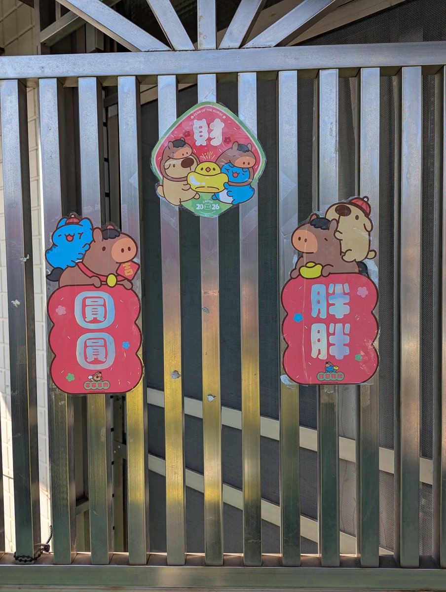 Bini逼妮 tweet media