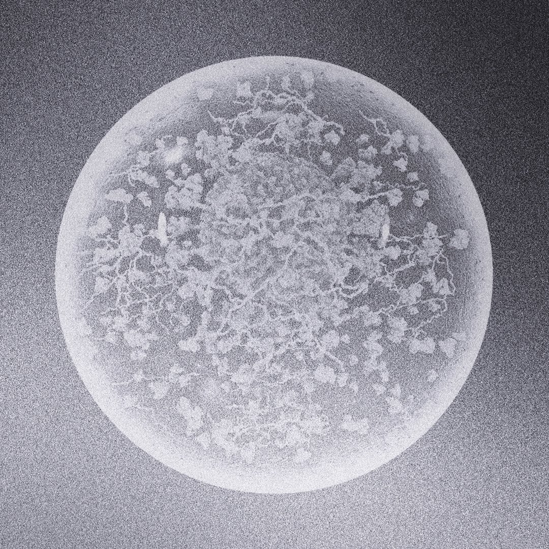 Patrick Farnsworth tweet media