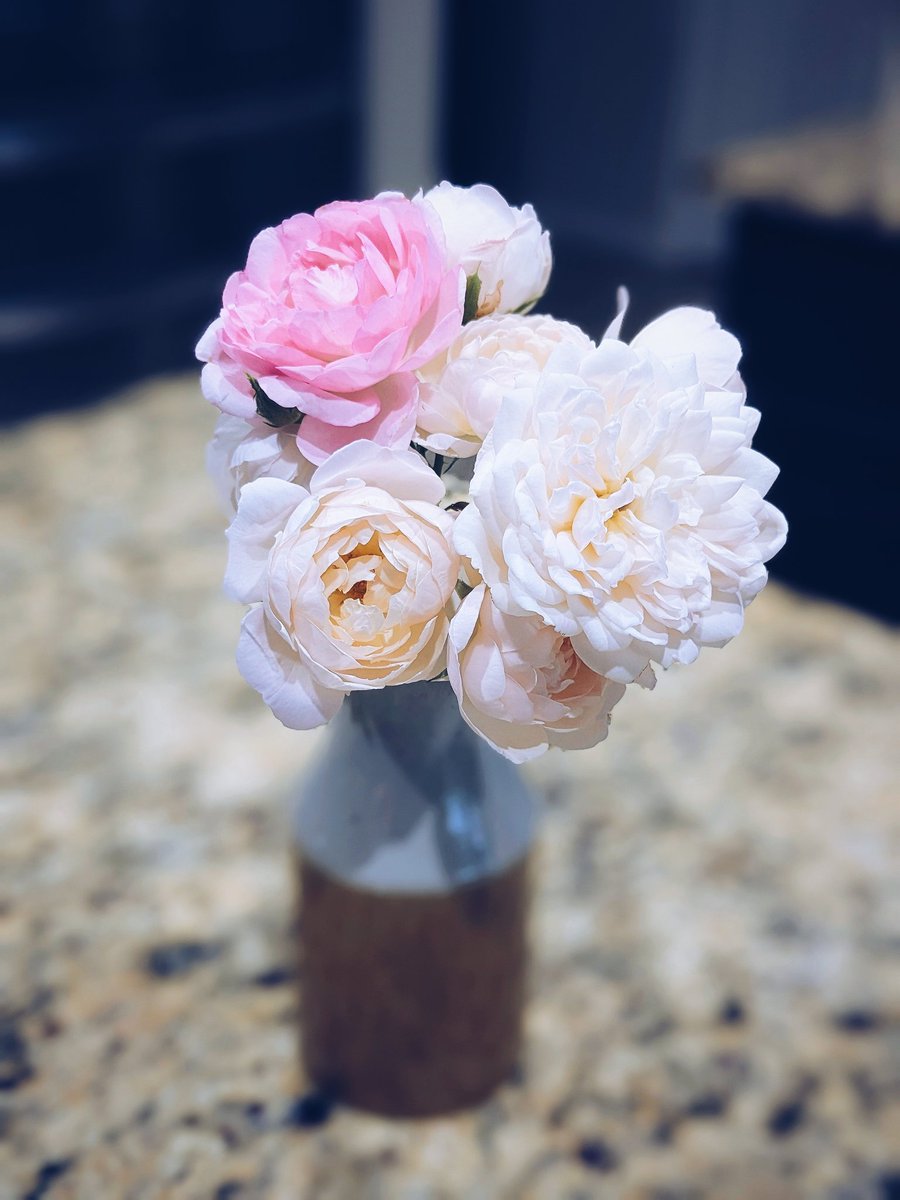 Anna Madden tweet media