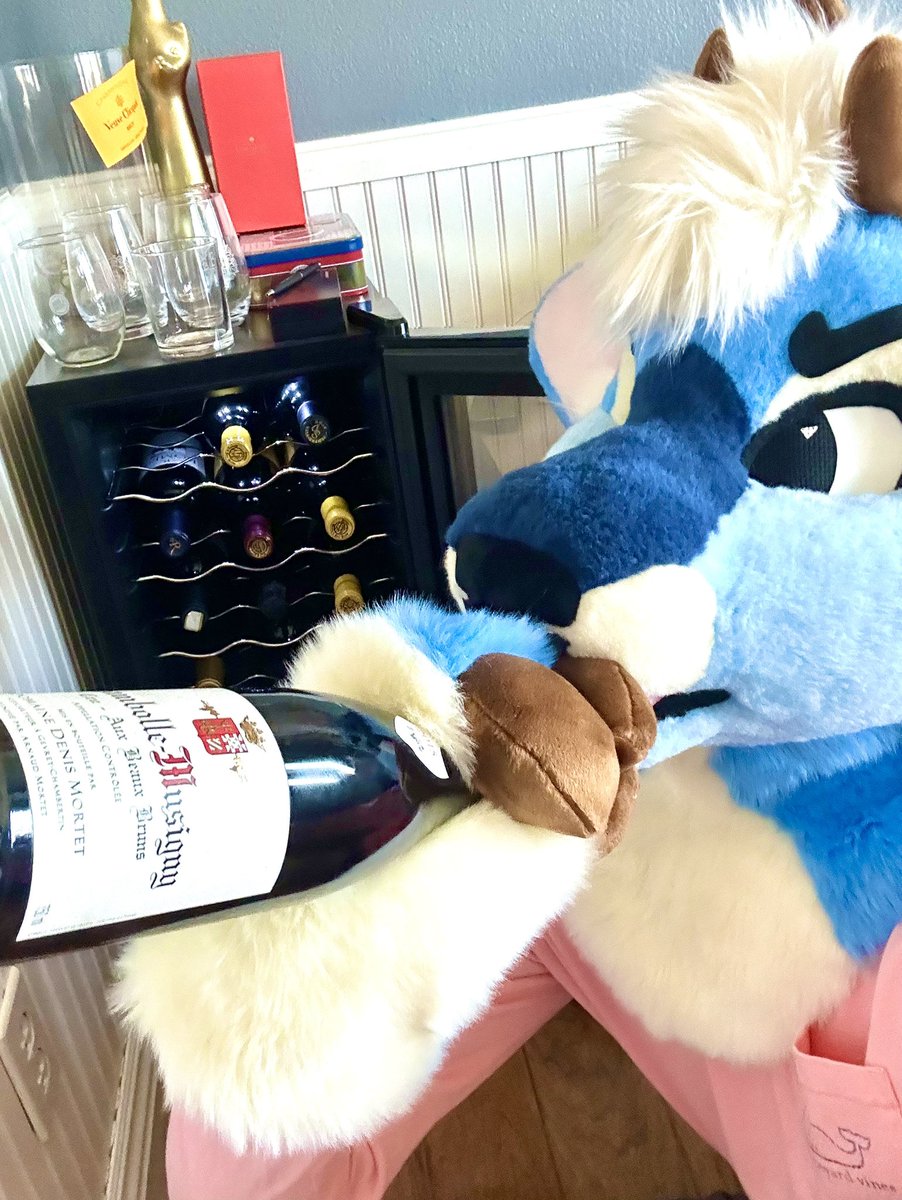 BLUEBERRY 🔜 MEGAPLEX tweet media