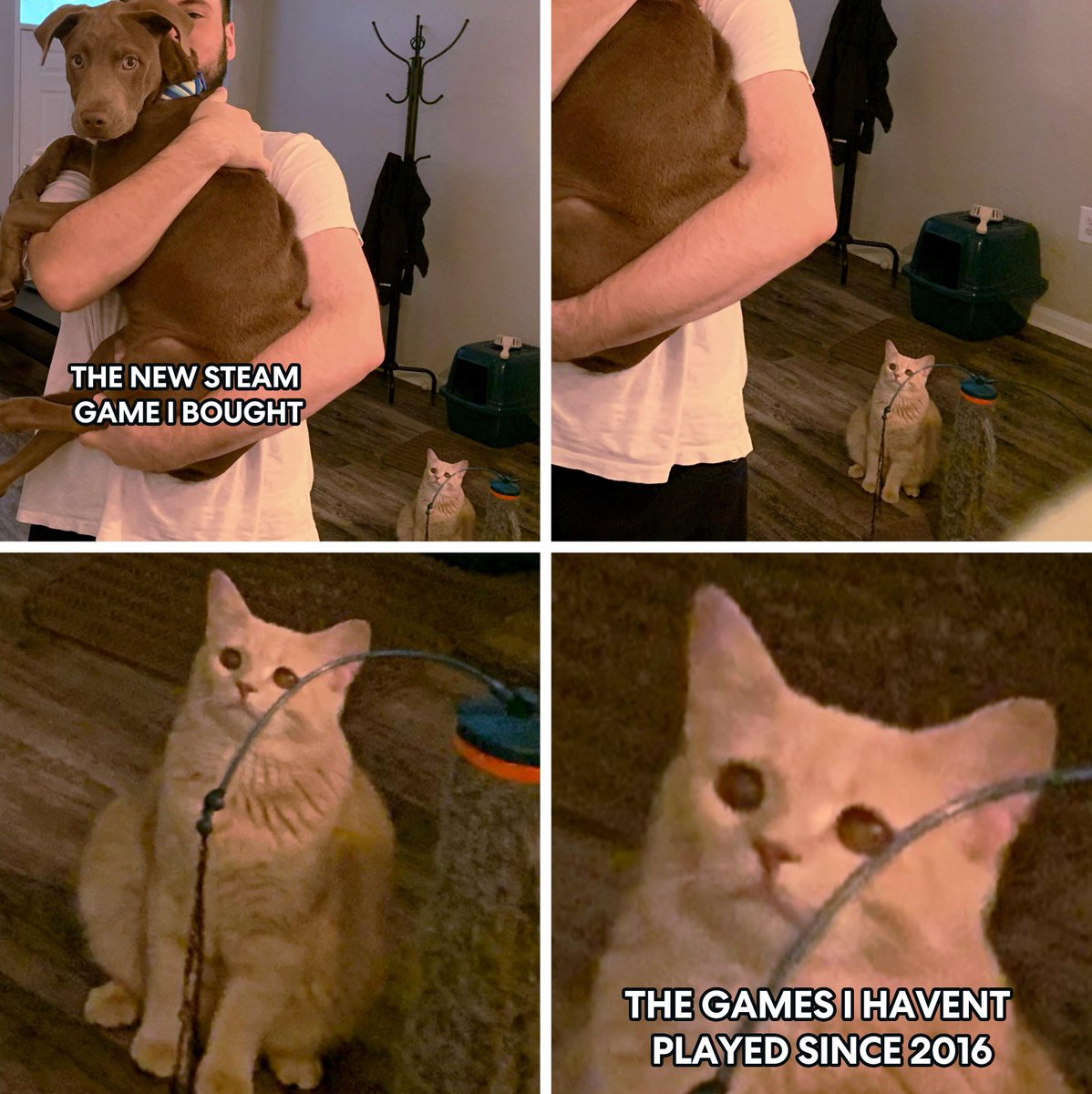 PLE Computers tweet media