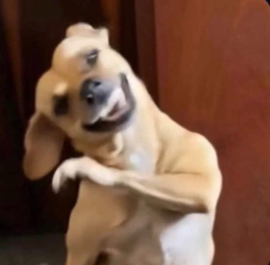 SoLua_Cc's tweet image. Eu tomando Beats só com uma maçã no estômago desde cedo