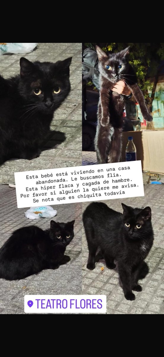 Necesitamos tránsito! 
<a href="/lagarzasosa_/">Puchi</a> me ayudas compartiendo? 
Necesitamos sacarla de la calle. Está súper flaca