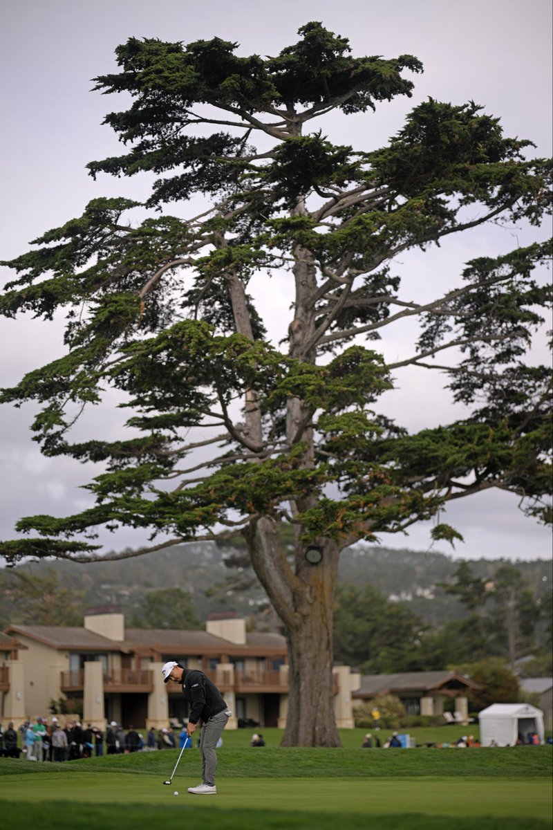 Min Woo Lee tweet media