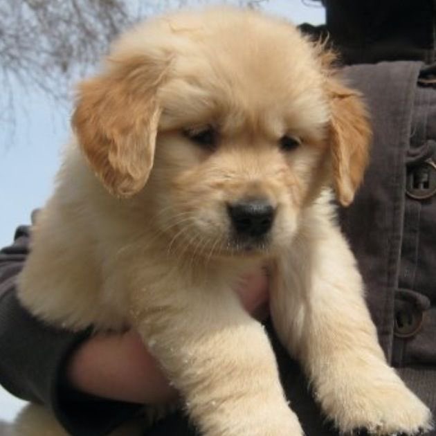 แอฟ้อดมีมมากกกก55555556372765566556656565