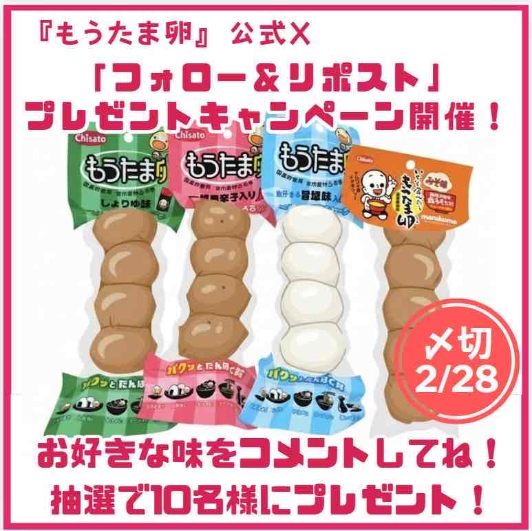 もうたま卵【公式】 tweet media